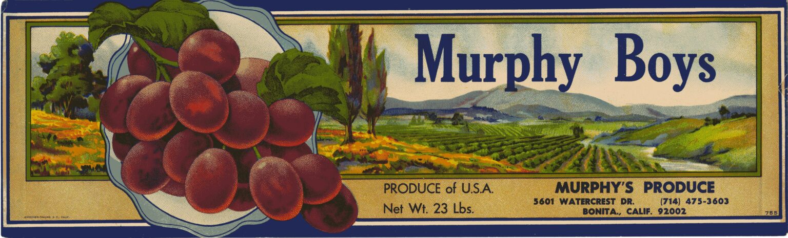 Murphys Boys Murphys Boys
